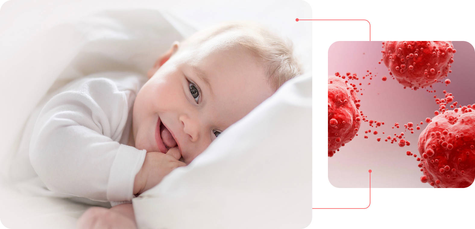 hero-projekty-kojenec