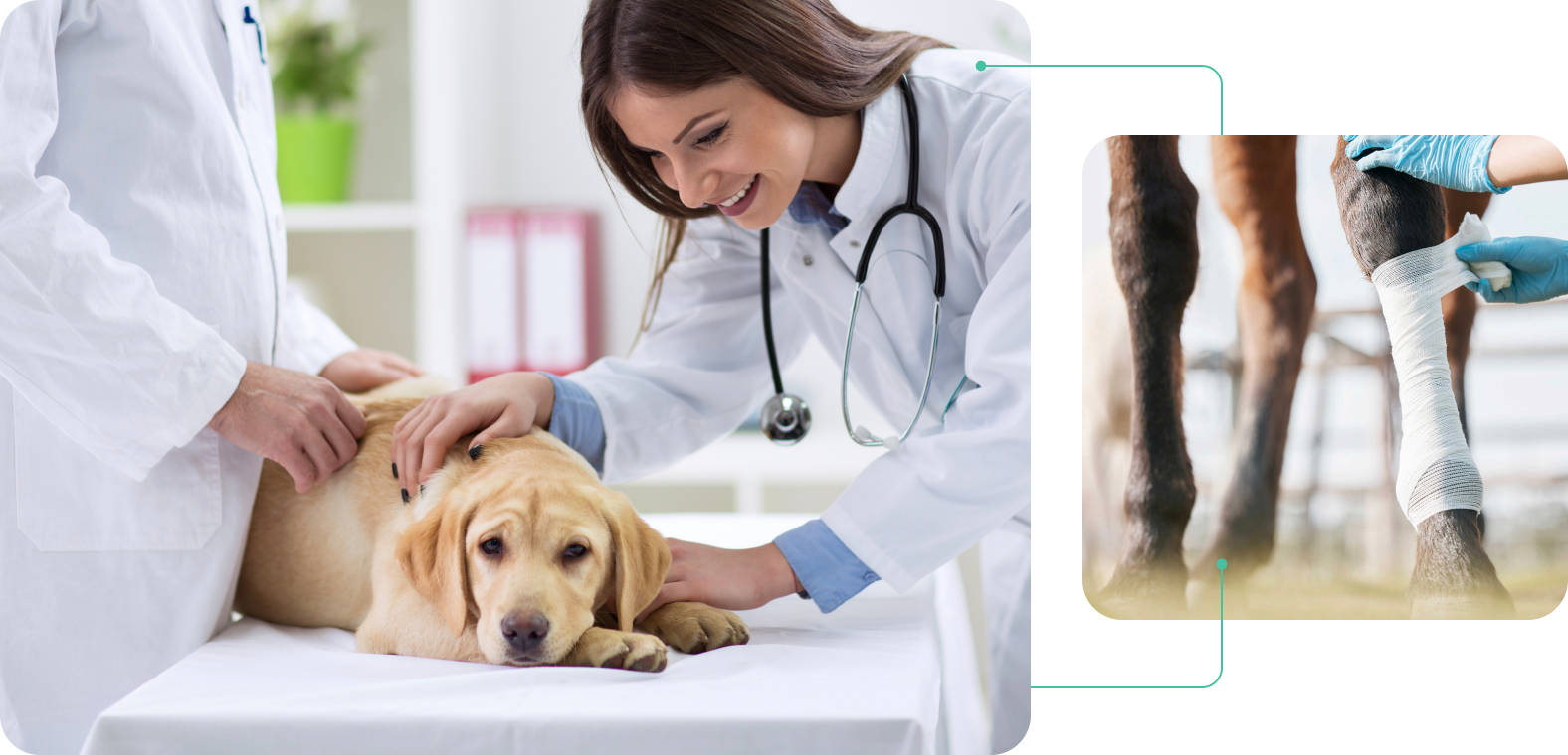 hero-projekty-avecell