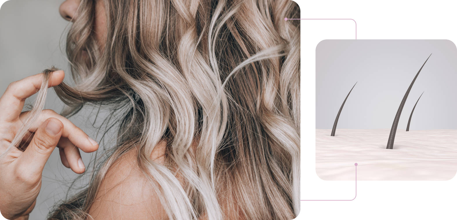 hero-projekty-hairmedicine