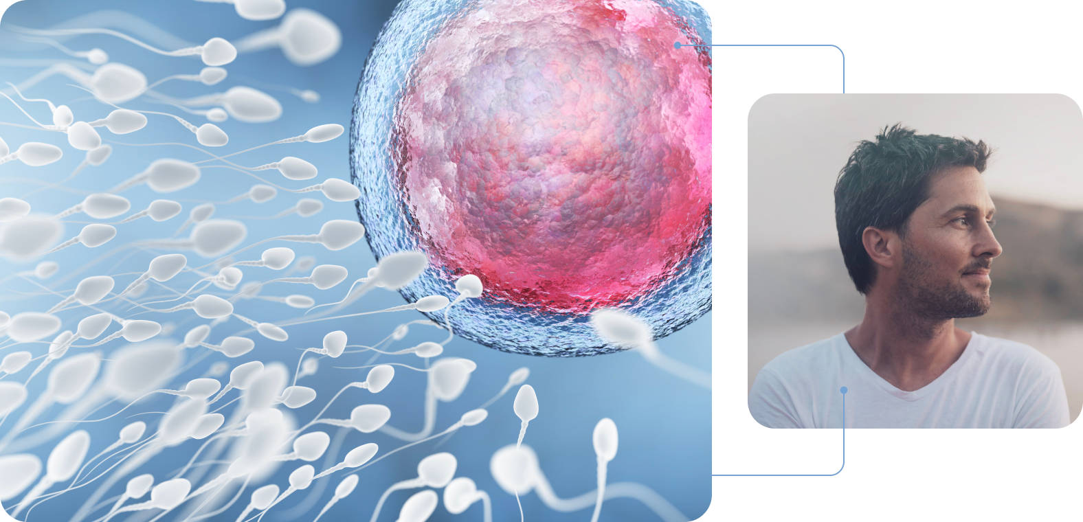 hero-projekty-spermie