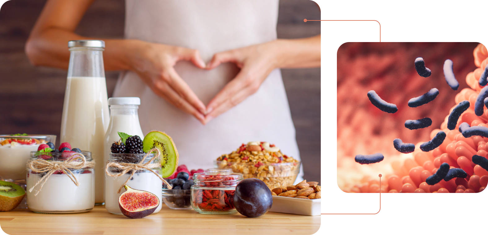 hero-projekty-stolice